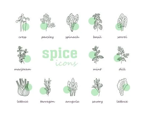 Greenery vector icon set. Vegetable green leaves Stock Illustration