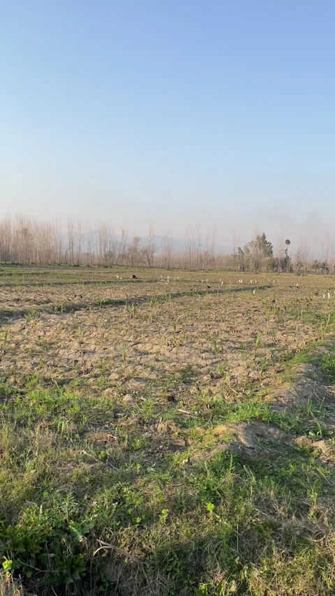 A greenfield site is a plot of undeveloped land, often on the outskirts of .. Vídeos de archivo 304438535