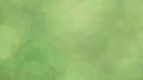 Green,Full screen, Bokeh, Bright, Stock Footage 319375573