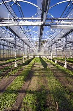 Greenhouse 2 Stock Photos