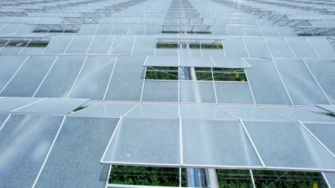 Greenhouse aerial view. Technology for large scale fresh produce for health.. 動画素材 245399014