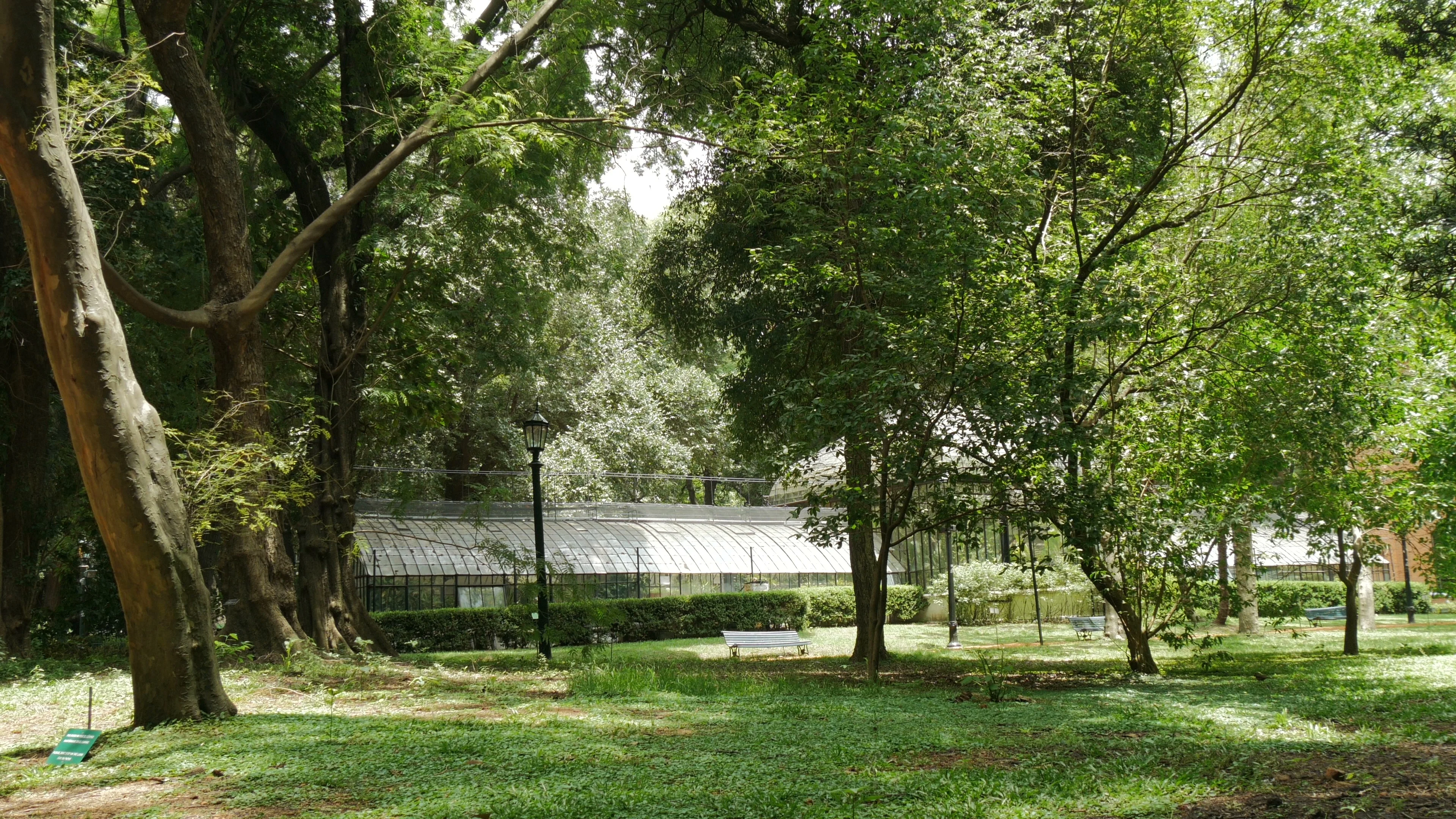 Greenhouse In The Botanical Garden Of Buenos Aires Video 88801575