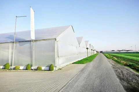 The greenhouse with cloudy sky Stock Photos