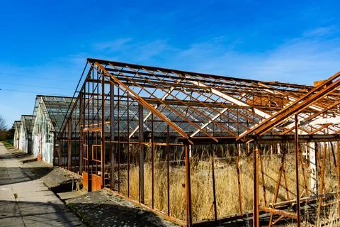 Greenhouse complex in an abandoned state. Old dilapidated greenhouses. Stock Photos