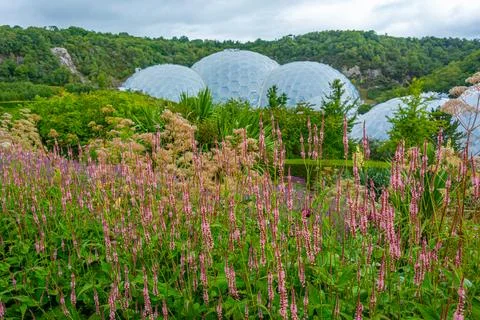Greenhouse complex at Eden project in Cornwall, England Stock Photos