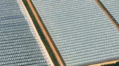 Greenhouse complex featuring plastic greenhouses Stock Footage 341812426