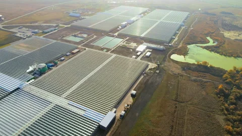 Greenhouse complex. Large agricultural complex. Industrial greenhouses for Stock-Footage 137869828
