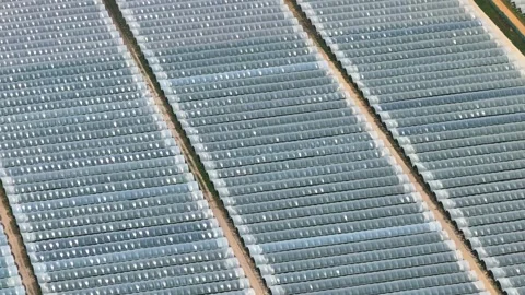 Greenhouse complex with plastic greenhouses Stock Footage 341812442