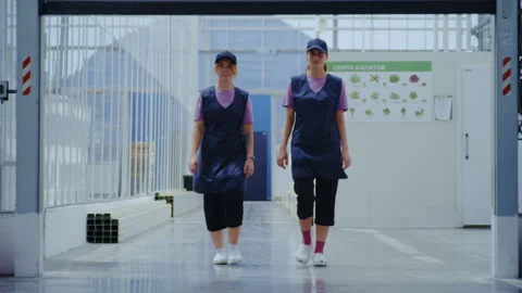 Greenhouse Corridor with Automatic Gate Opening for Workers Stock-Footage 313535411