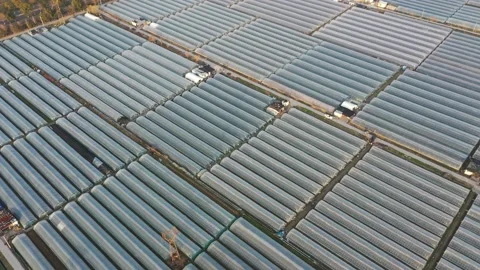 Greenhouse with countryside during sunset Stock Footage 167351653