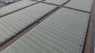 Greenhouse, Crops And Rural Area Drone Footage Stock Footage