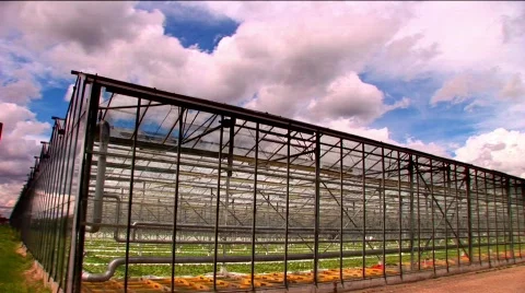 The Greenhouse Effect Stock Footage 119440