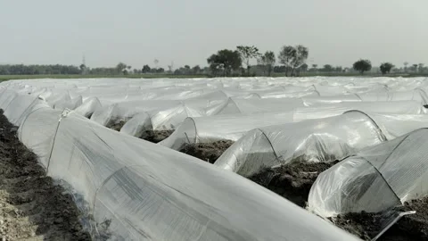 GREENHOUSE EFFECT Stock Footage 298789436