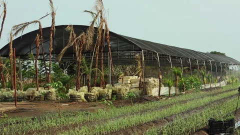 GREENHOUSE ON THE FARM Stock Footage 306695060