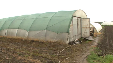Greenhouse in the field Stock Footage 39667011