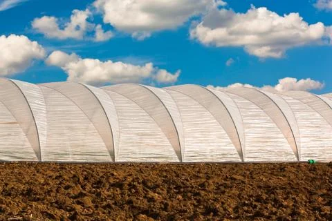 Greenhouse on the field Stock Photos
