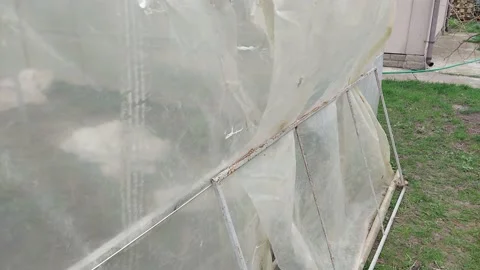 The greenhouse film develops in the wind Video stock 238926315