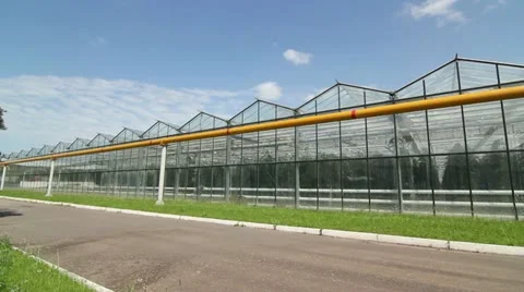 Greenhouse Stock Footage