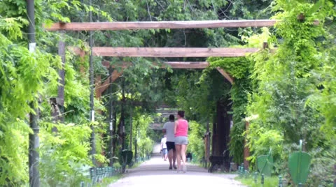 Greenhouse Stock Footage 25042284