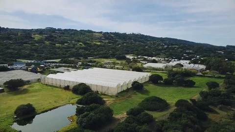 Greenhouse 스톡 동영상 91178475