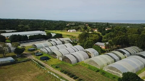 Greenhouse 스톡 동영상 91178496