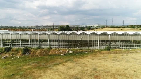Greenhouse Stock Footage 135378585