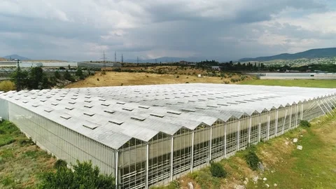 Greenhouse Stock Footage 135379204