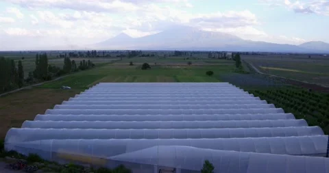 Greenhouse Stock-Footage 135814336