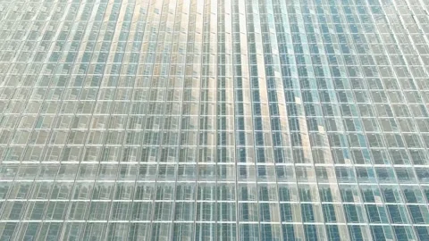 Greenhouse Stock Footage 167563773