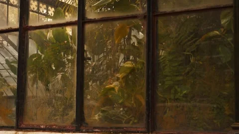 Greenhouse full of plants Stock Footage 291570959