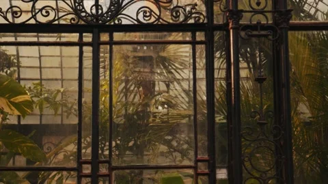 Greenhouse full of plants Stock Footage 291571229