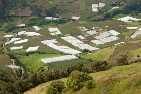 Greenhouse In Highlands Of Ecuador Approx 3000M Altitude Stock Photos