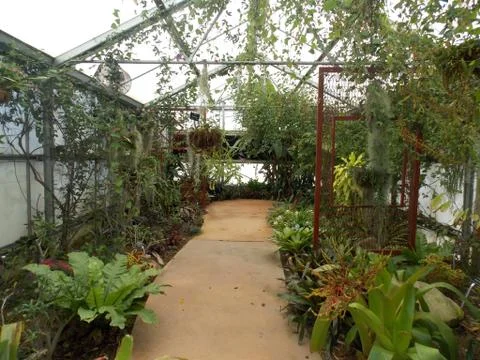 Greenhouse Interior Stock Photos