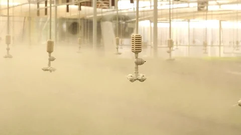 Greenhouse Irrigation Video stock 74066917