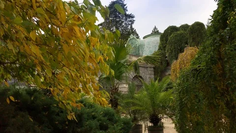 Greenhouse at Lednice castle from different perspectives Stock Footage 97987306