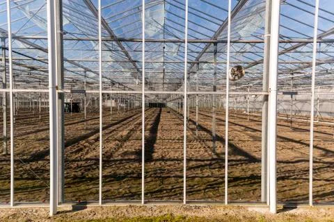 Greenhouse Maasdijk Stock Photos