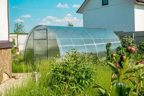 Greenhouse made of carbonate on a plot next to the house. Greenhouse for growing Fotos de archivo
