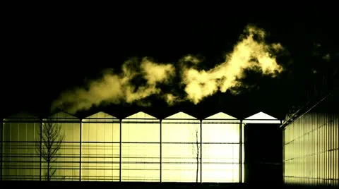 Greenhouse by night Stock-Footage 21842358