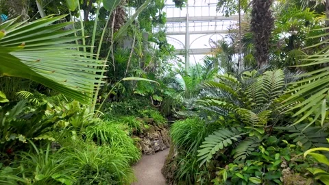 Greenhouse in The Phipps Conservatory and Botanical Gardens in Pittsburgh, .. Stock Footage 282910465