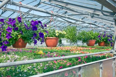 Greenhouse Stock Photos