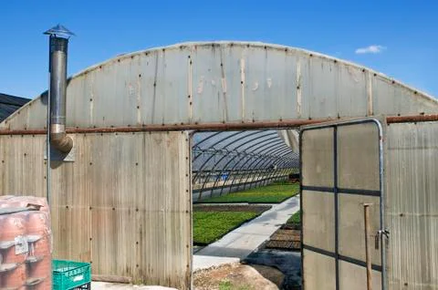 Greenhouse Stock Photos