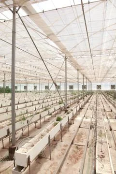 Greenhouse Stock Photos