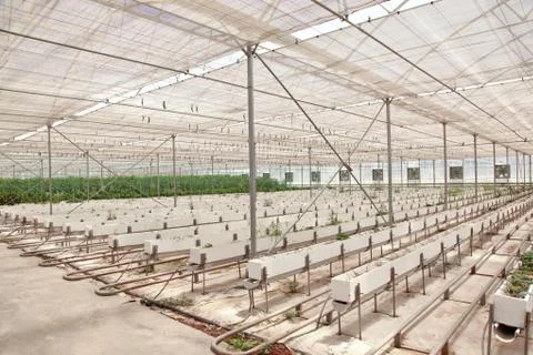 Greenhouse Stock Photos