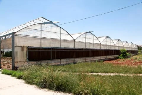 Greenhouse Stock Photos