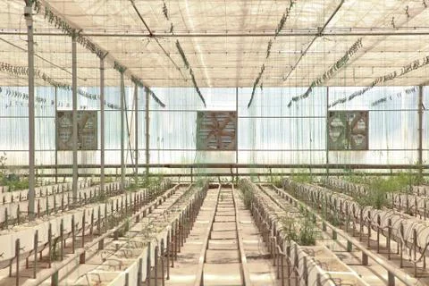 Greenhouse Stock Photos
