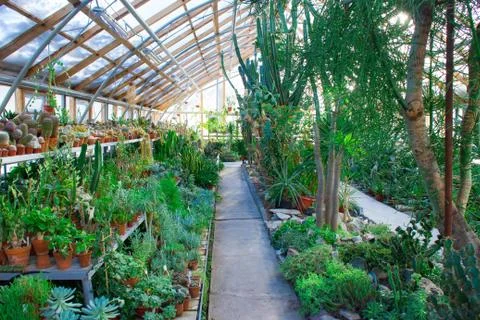 Greenhouse Foto stock
