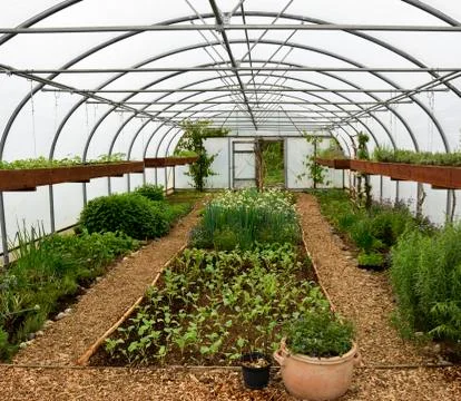 Greenhouse Stock Photos