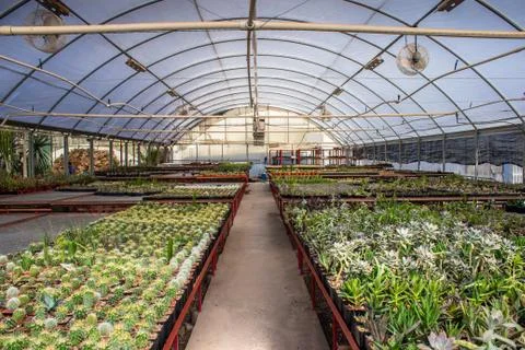 Greenhouse Stock Photos