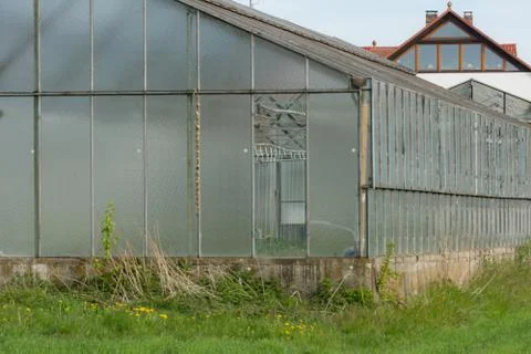 Greenhouse Stock-Fotos