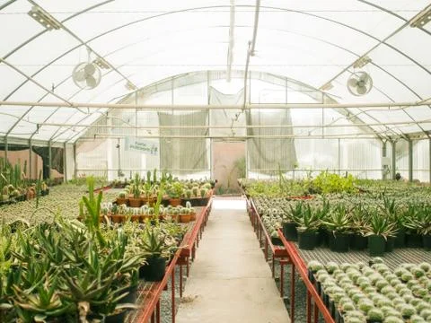Greenhouse Stock Photos